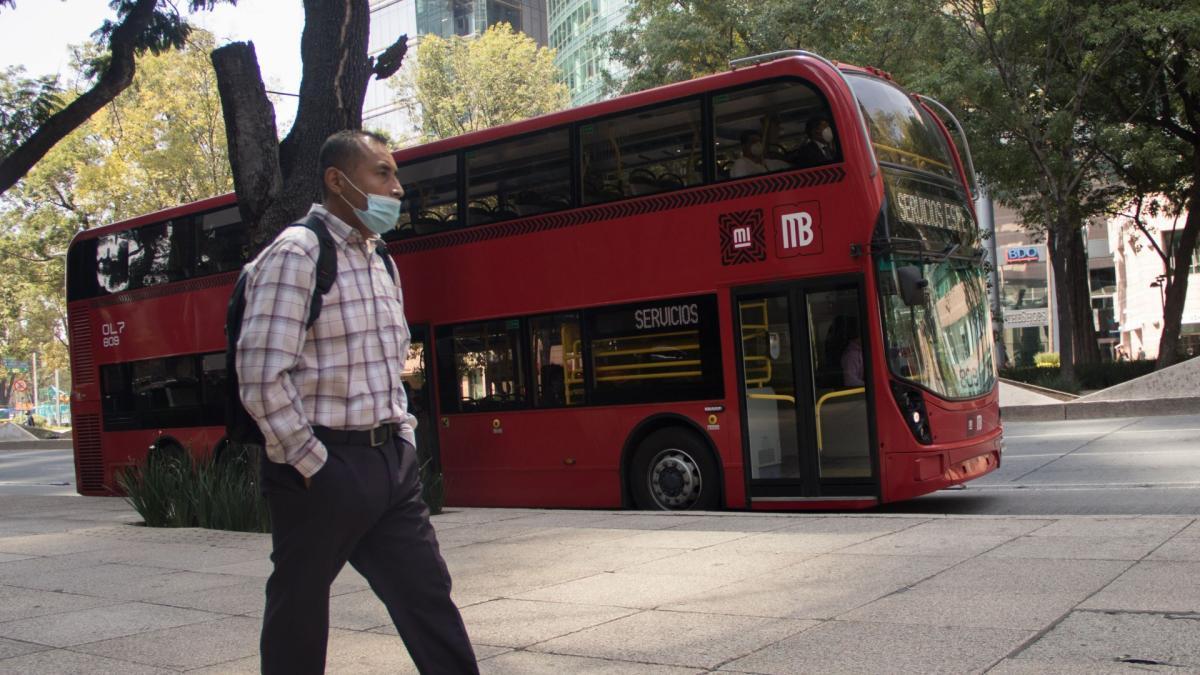 <![CDATA[Lamentan fallo sobre arrendamiento para publicidad en Línea 7 del Metrobús]]>