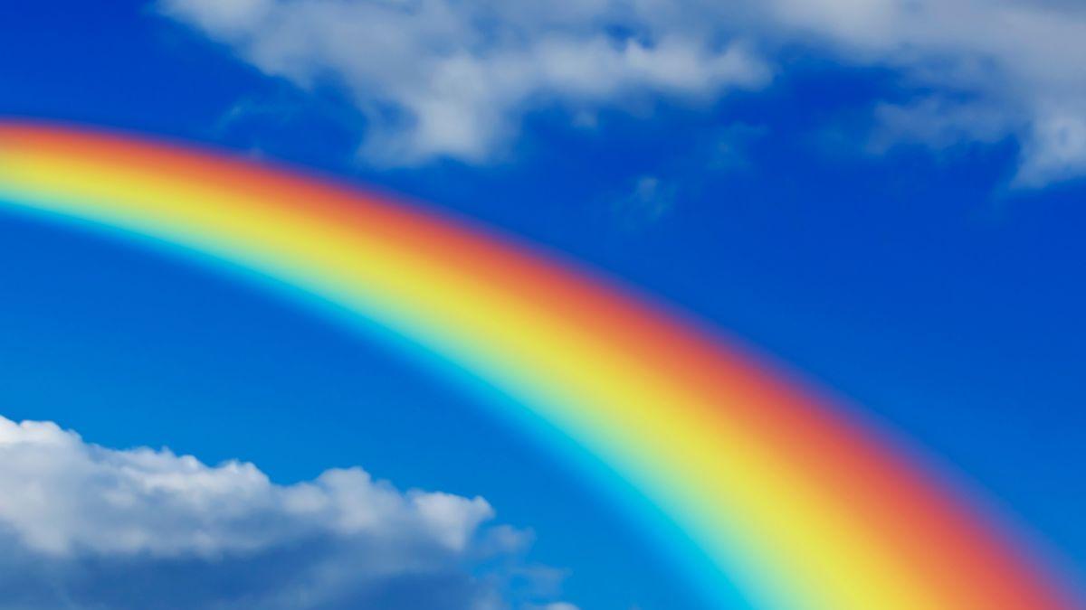 <![CDATA[Día del Arcoíris 2026: ¿Cuántos colores tiene y el significado de cada uno?]]>