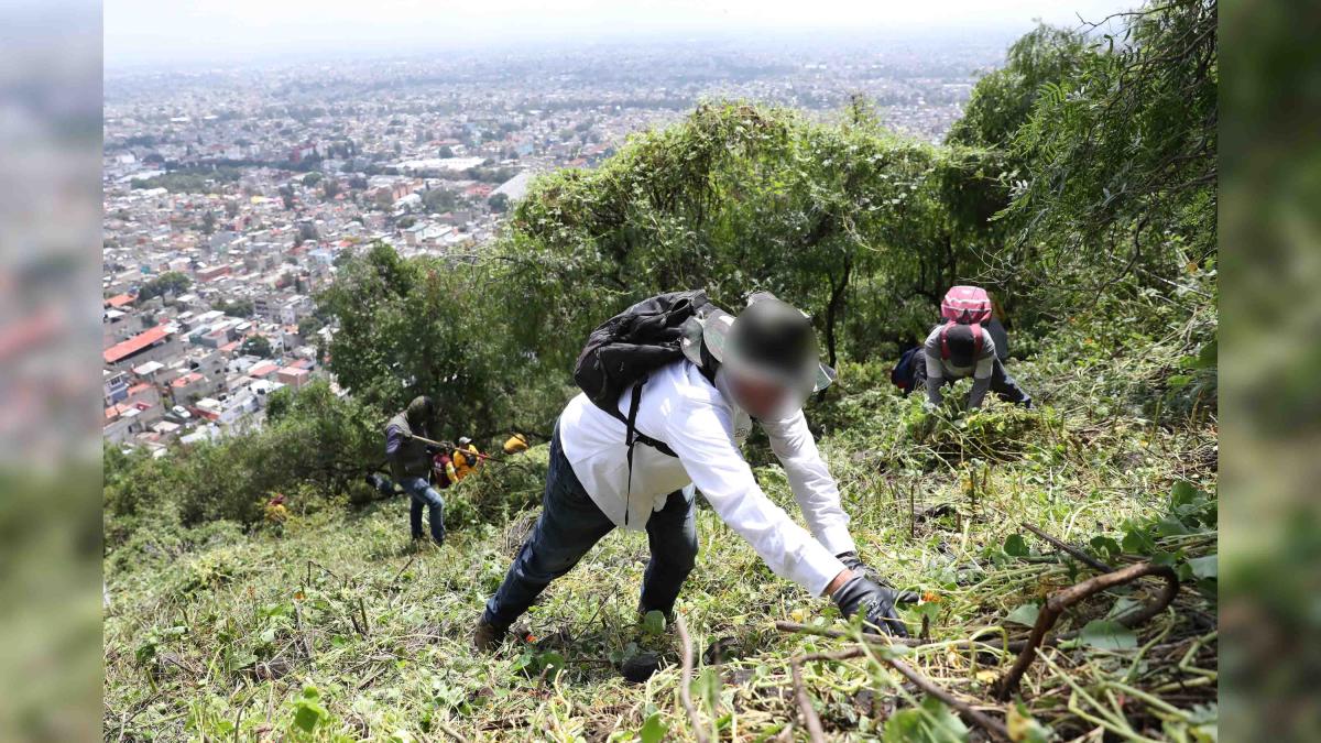 <![CDATA[Jornadas de búsqueda en CDMX permiten identificar restos de dos menores]]>