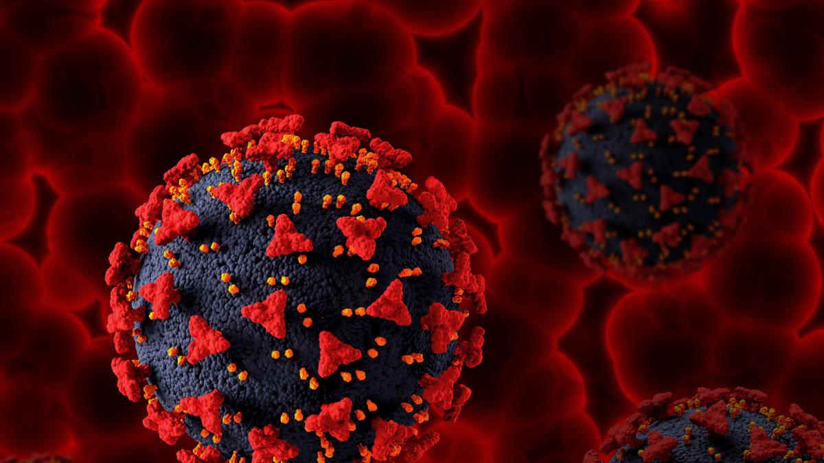 <![CDATA[Desaparecen peligrosas muestras de virus de una universidad en Brasil]]>