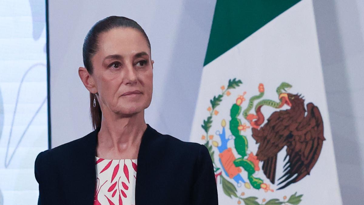 <![CDATA[Sheinbaum reitera: no se volverá a dar dinero directo a organizaciones de transportistas y agricultores]]>