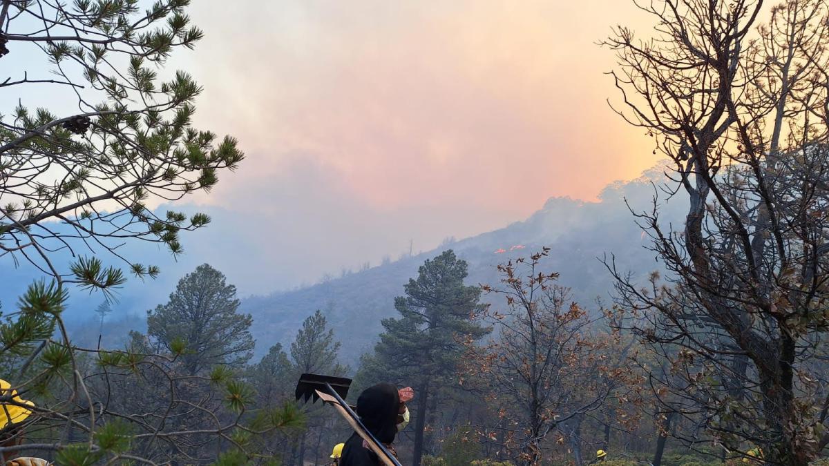 <![CDATA[Turistas causan tres incendios forestales en Chihuahua]]>