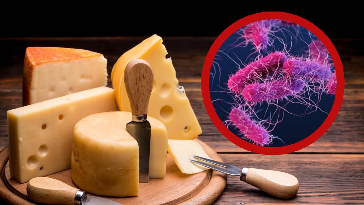 <![CDATA[Retiran FAMOSO queso por contaminación con bacteria E. coli]]>