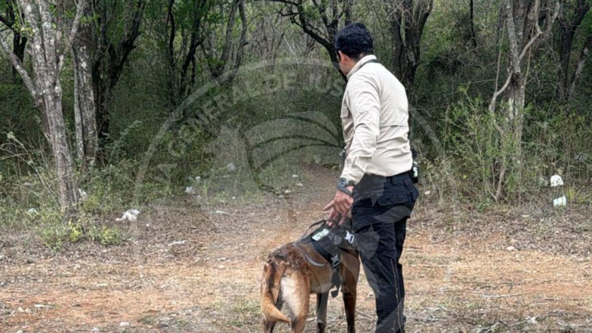 <![CDATA[Implementan operativo para buscar a hombre desaparecido en 2025]]>