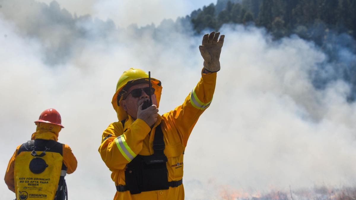 <![CDATA[Alcanza Temporada de Incendios Forestales su máximo en 2026, se contabilizan 38 siniestros]]>