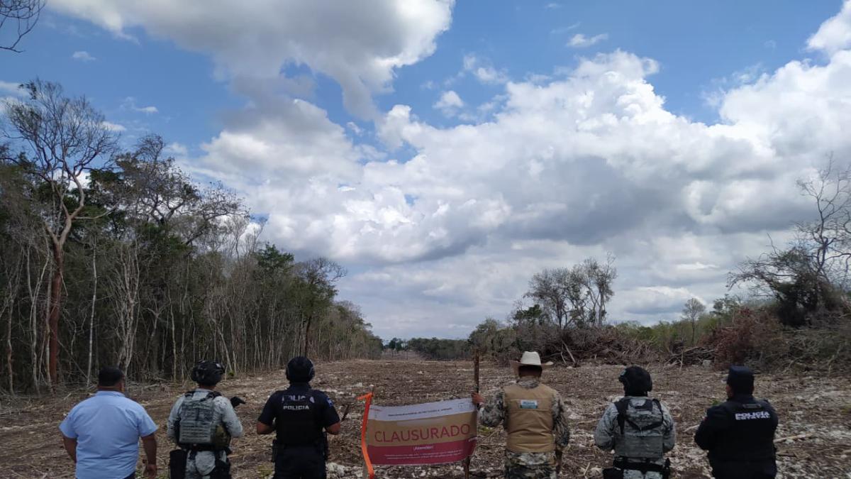 <![CDATA[Realizan operativos conjuntos en 41 áreas naturales protegidas; no hay detenidos]]>