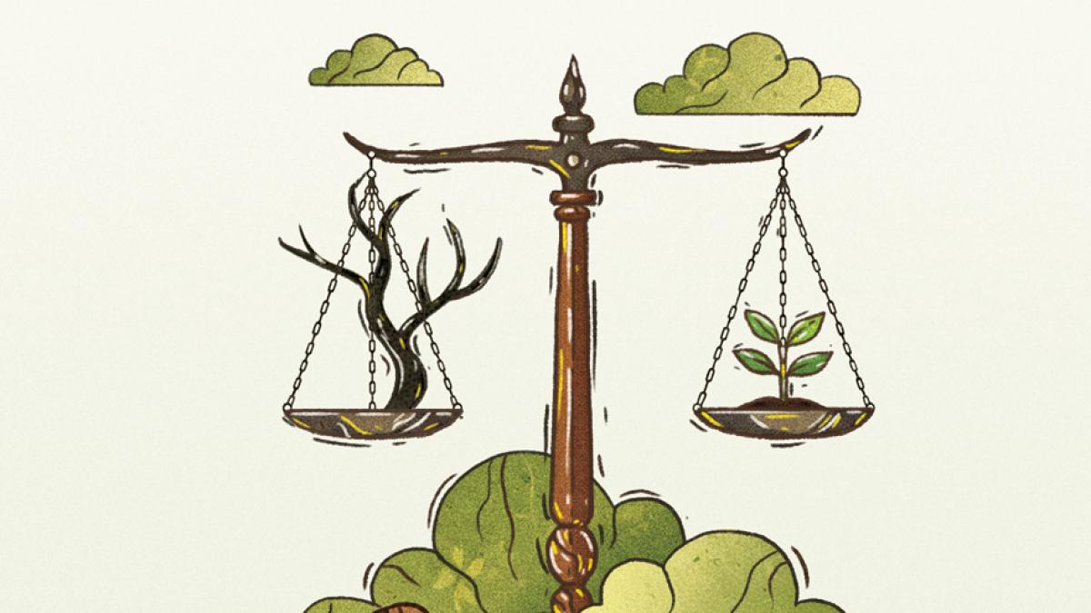 <![CDATA[El Sistema Nacional Anticorrupción se ha convertido en una “Política Zombie”: especialista]]>