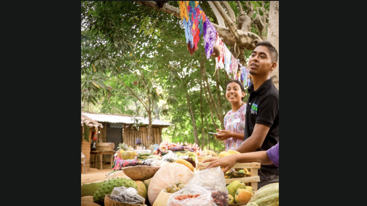 <![CDATA[Sembrando Vida impulsa 3 mil 800 tianguis campesinos en el país]]>