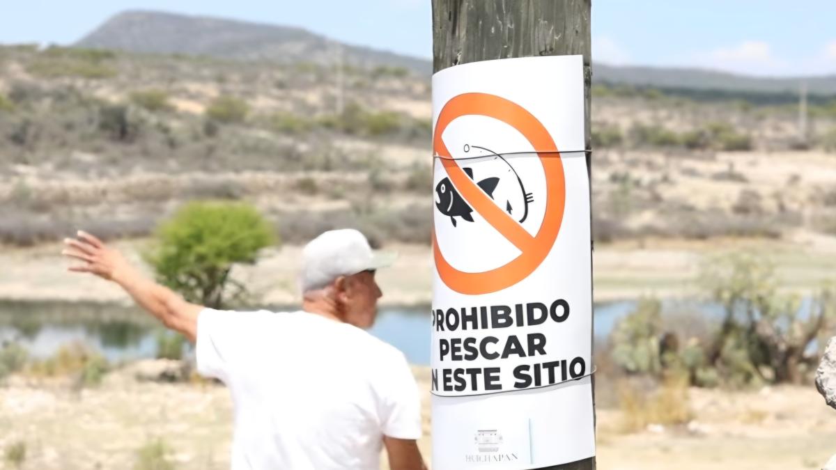 <![CDATA[Restringen pesca por mortandad en presa de Huichapan]]>