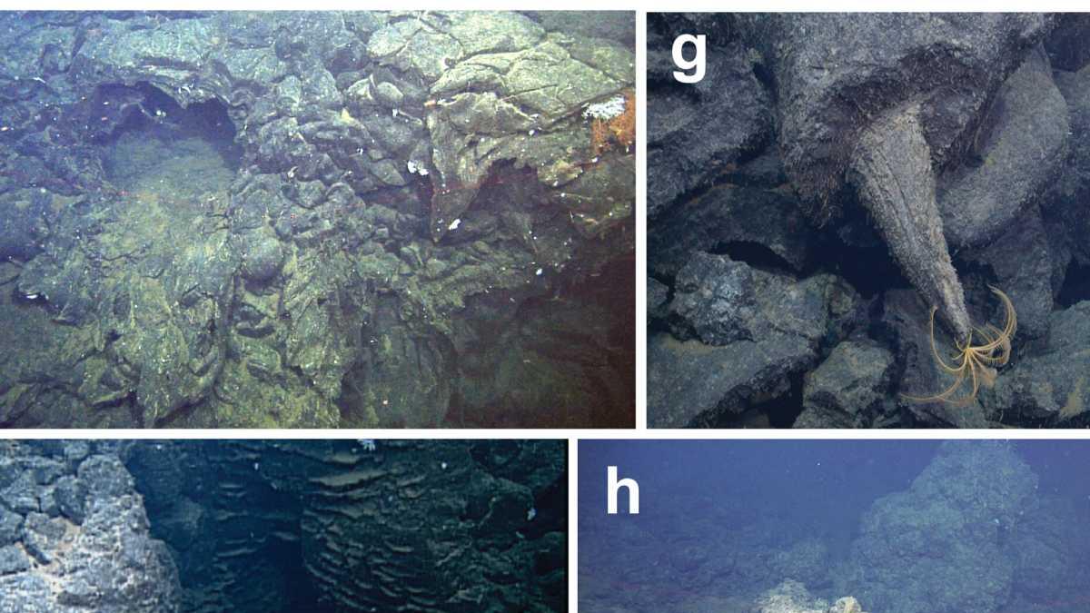 <![CDATA[Científicos descubren gigantescos campos de lava en volcán submarino activo]]>