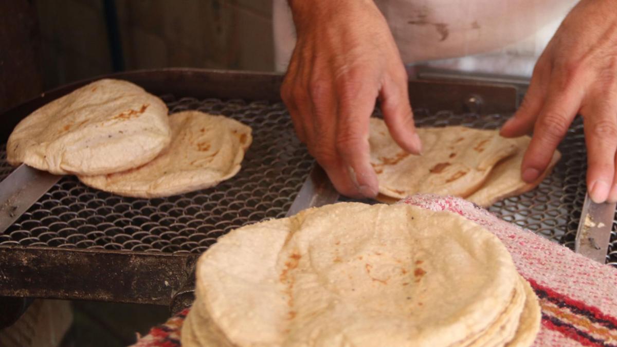 <![CDATA[Reconocen presión sobre precio de la tortilla; 