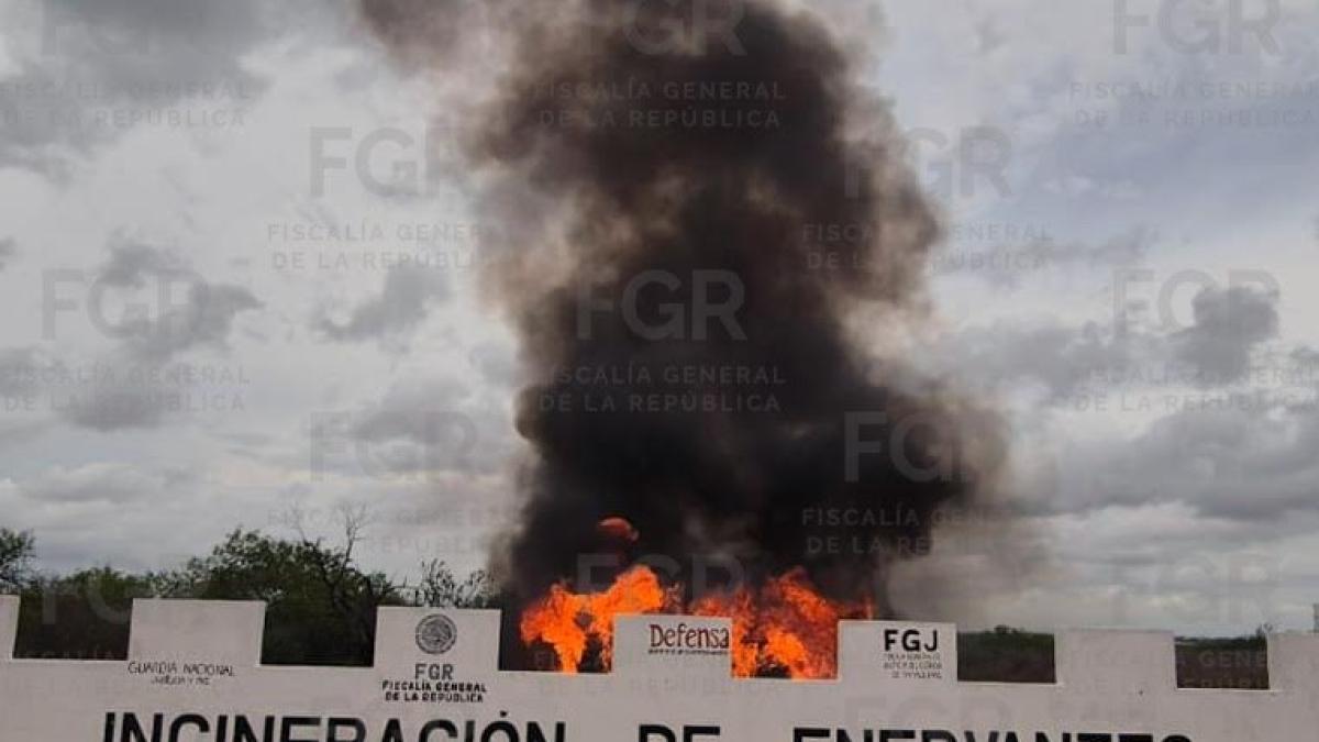 <![CDATA[Golpe al narcotráfico: destruyen cerca de una tonelada de droga en Reynosa]]>