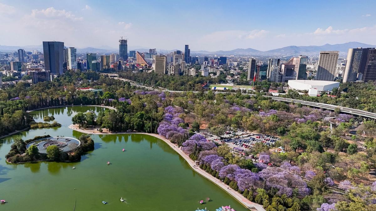 <![CDATA[El cielo violeta de la Ciudad de México]]>