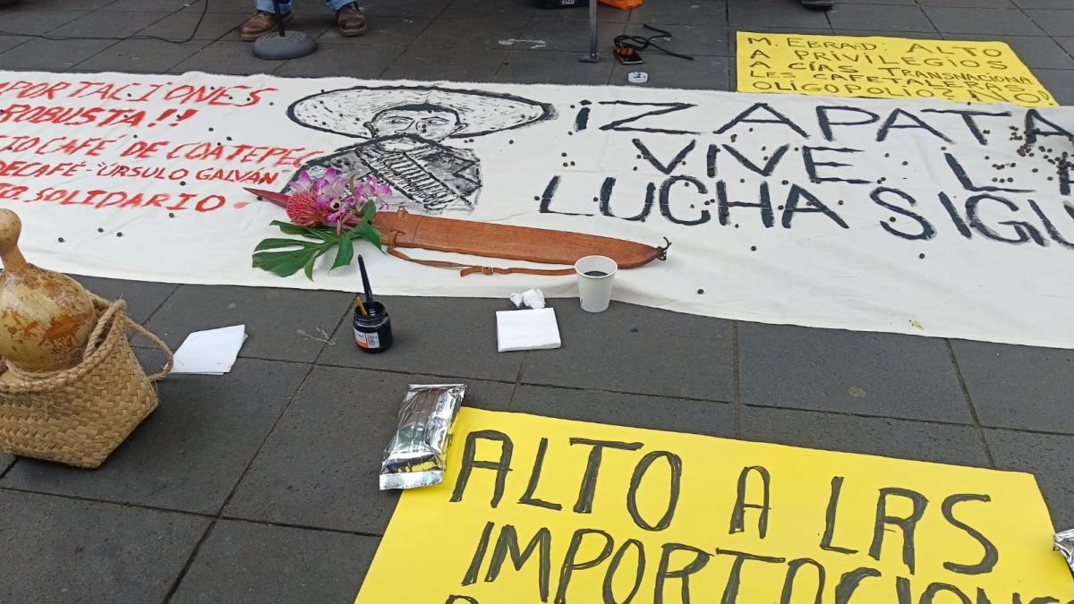 <![CDATA[Cafetaleros de Veracruz alertan crisis por roya y entrada de café robusta barato]]>