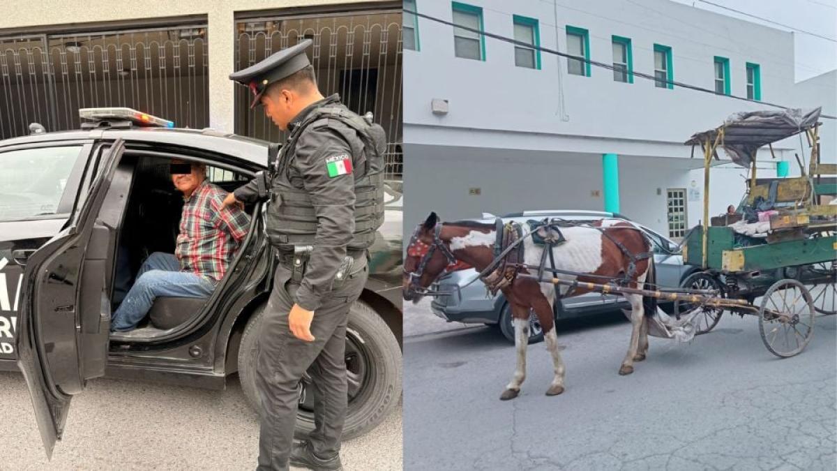 <![CDATA[Detienen a recolector de basura por maltratar una yegua]]>