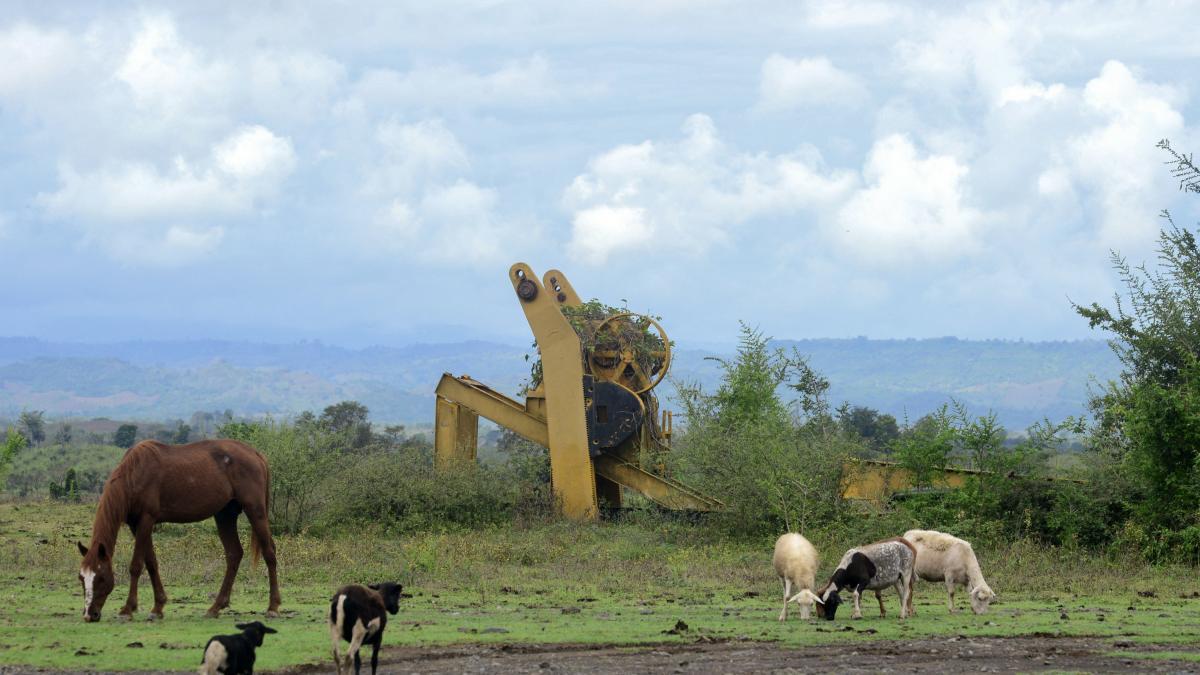 <![CDATA[En riesgo, avance financiero de Veracruz]]>