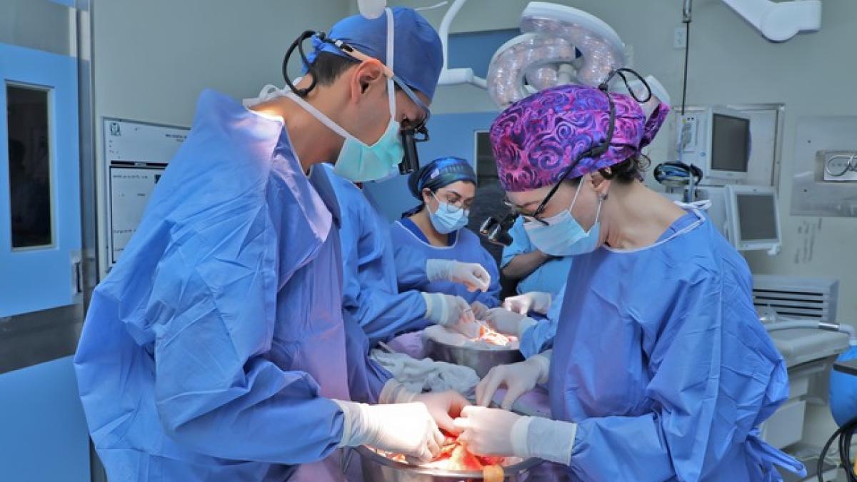 <![CDATA[IMSS logra procuración multiorgánica en Sonora, Hidalgo y Tlaxcala]]>