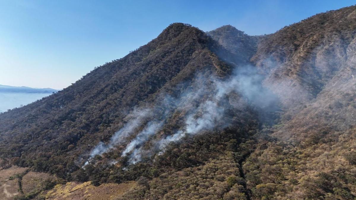 <![CDATA[¡Alerta! Al alza los incendios forestales en México]]>