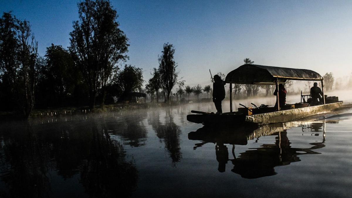 <![CDATA[Xochimilco; listo para recibir a más de un millón de visitantes durante el Mundial]]>
