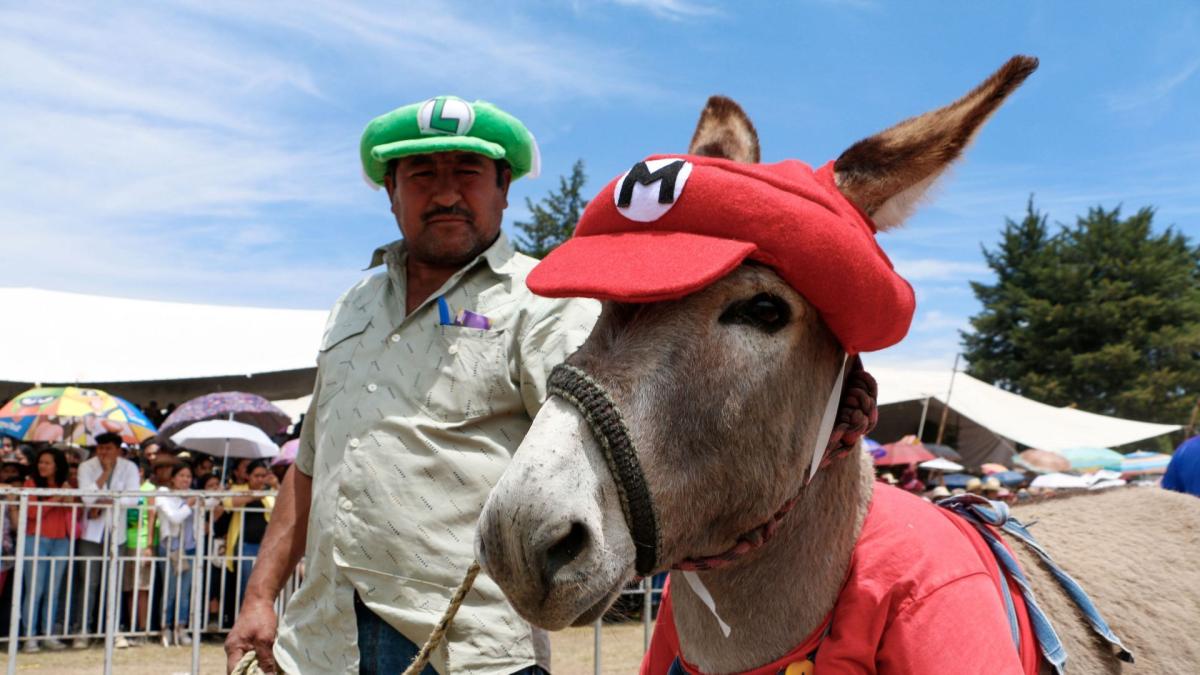 <![CDATA[Feria del Burro 2026 en Edomex: fechas y artistas confirmados además de La Arrolladora]]>
