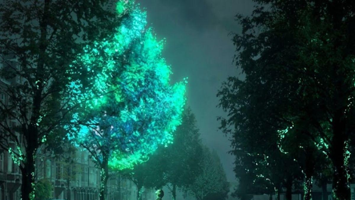 <![CDATA[¿Existen plantas que brillan en la oscuridad? Así funciona la bioluminiscencia vegetal]]>