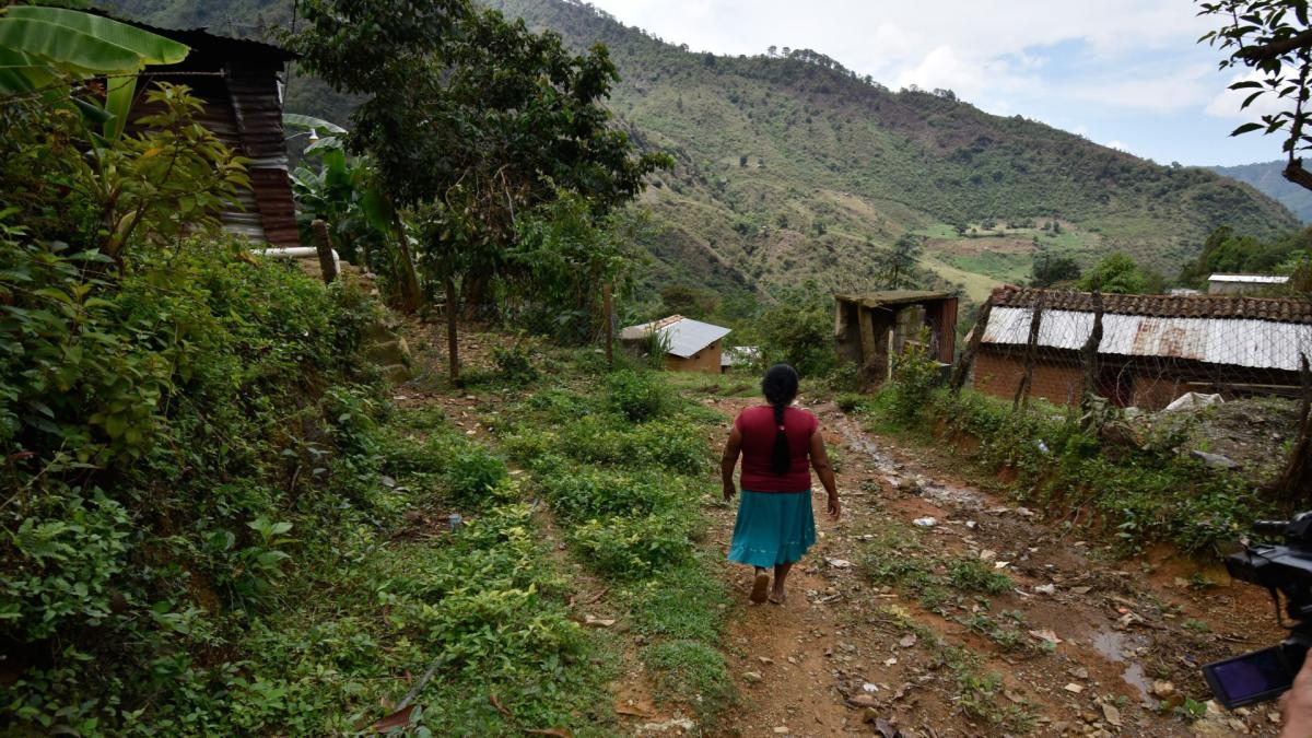 <![CDATA[Emprender para no migrar: historias desde la Montaña de Guerrero]]>