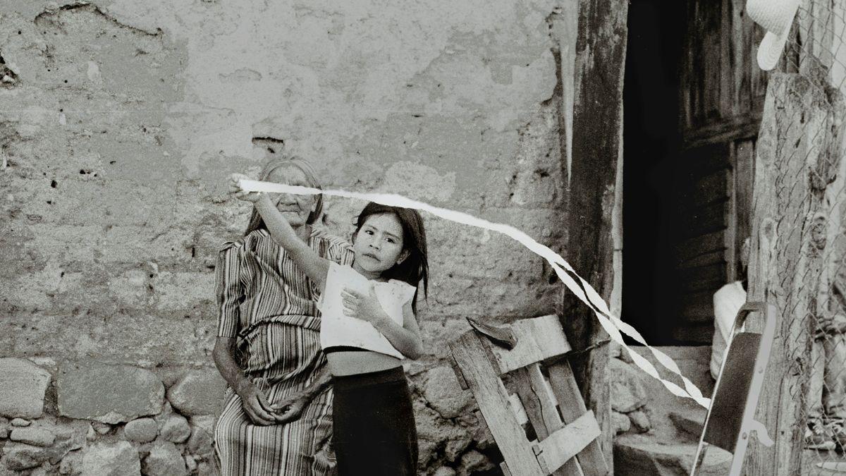 <![CDATA[El legado de Francisco Toledo: celebran tres décadas del Centro Fotográfico en Oaxaca]]>