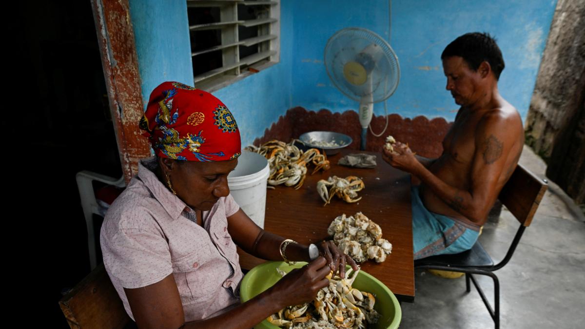 <![CDATA[Brasil, España y México expresan preocupación por crisis en Cuba]]>