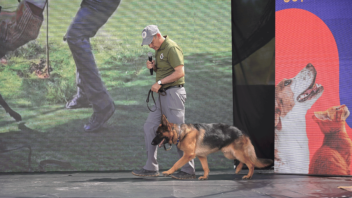 <![CDATA[Promoverán la adopción selectiva de perros en Campo Marte]]>