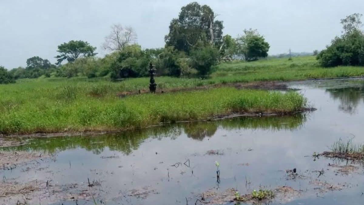 <![CDATA[Derrames recurrentes en Minatitlán, Veracruz, reactivan alarma ambiental]]>