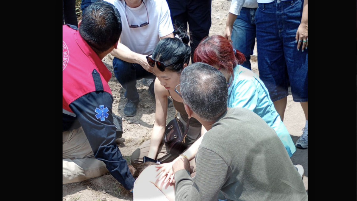 <![CDATA[IMSS Bienestar reporta atención oportuna a seis heridos del tiroteo en Teotihuacán]]>