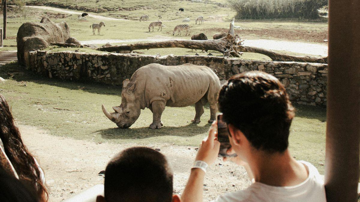 <![CDATA[Zoológicos cerca de CDMX: lugares para ver animales de cerca con tus hijos]]>