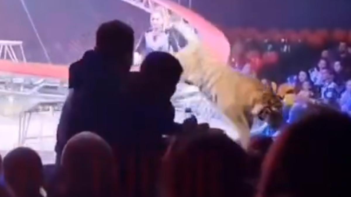 <![CDATA[Tigre se lanza contra el público en plena función de circo y desata el caos | VIDEO]]>
