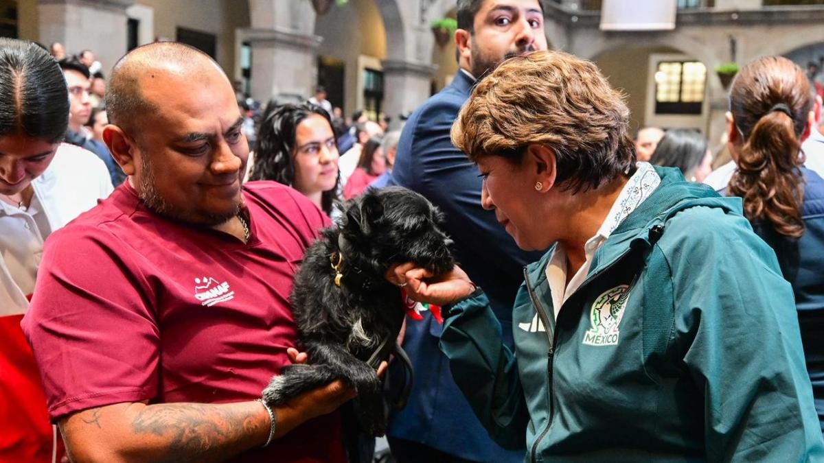 <![CDATA[Edomex prohíbe la venta de perros y gatos; van por sanciones más severas]]>