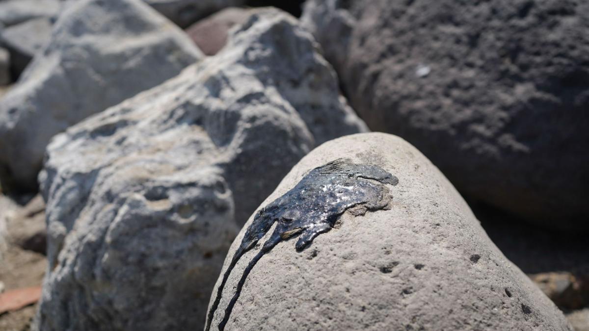 <![CDATA[Reconoce Sheinbaum que aún hay residuos sólidos por derrame en el Golfo]]>