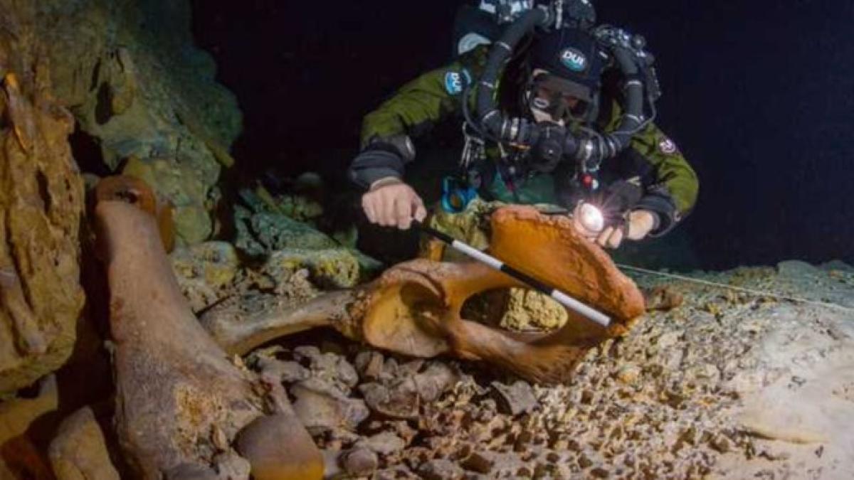 <![CDATA[Buzos extranjeros destruyen restos milenarios en cenote de Tulum]]>