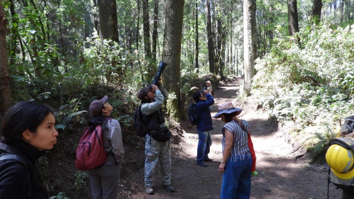 <![CDATA[CDMX compite por ser la urbe con más biodiversidad registrada en el mundo]]>