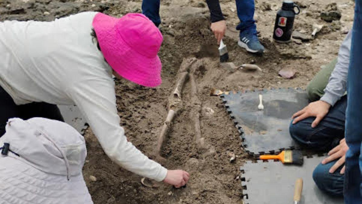 <![CDATA[INAH Halla entierro prehispánico milenario en El Conchalito, La Paz]]>