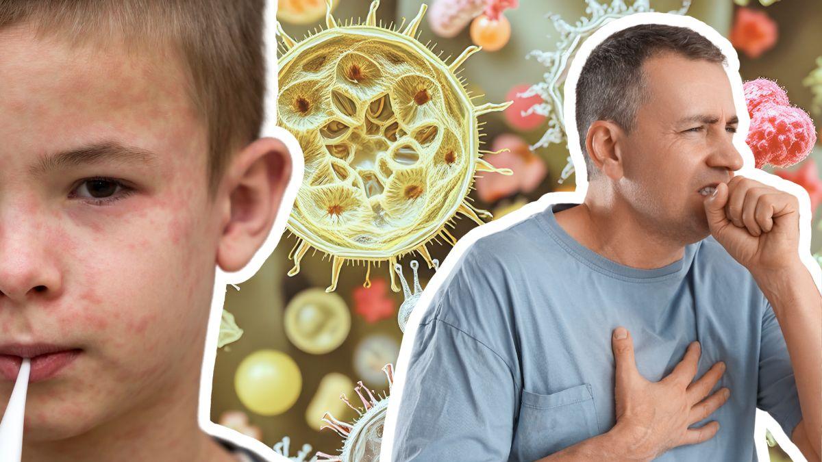 <![CDATA[¿Qué enfermedades están regresando por la baja vacunación?]]>