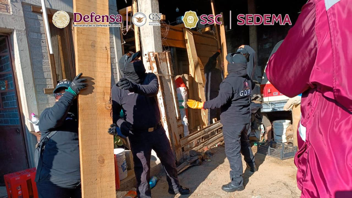 <![CDATA[Clausuran y desmantelan aserraderos ilegales en CDMX]]>