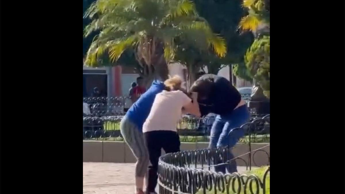 <![CDATA[Vecinas pelean contra mujer trans que lanza insultos en videos en vivo]]>