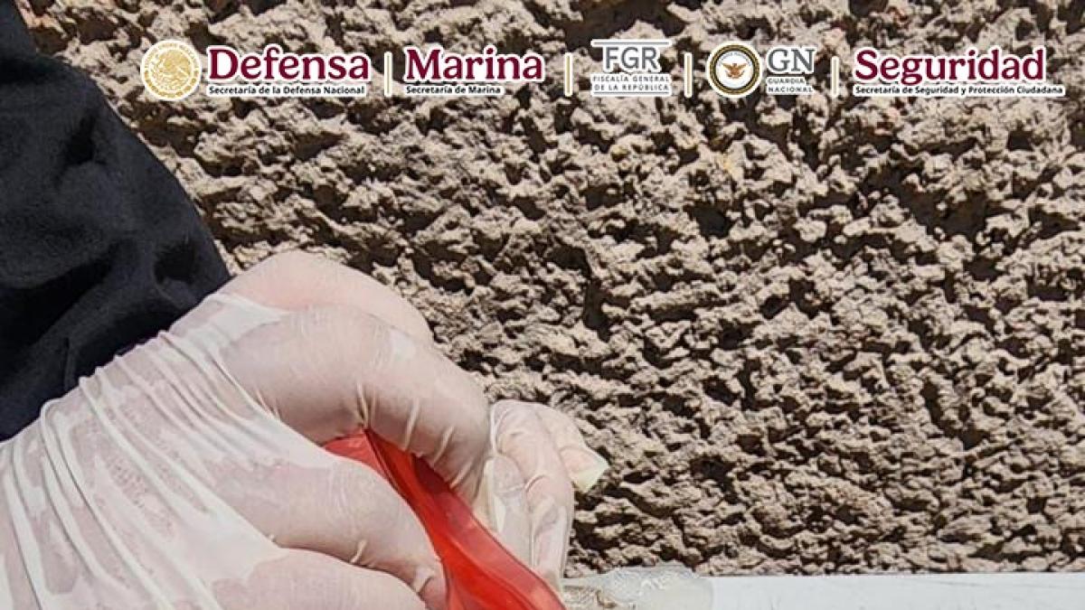 <![CDATA[Declaran guerra cuántica al fentanilo]]>