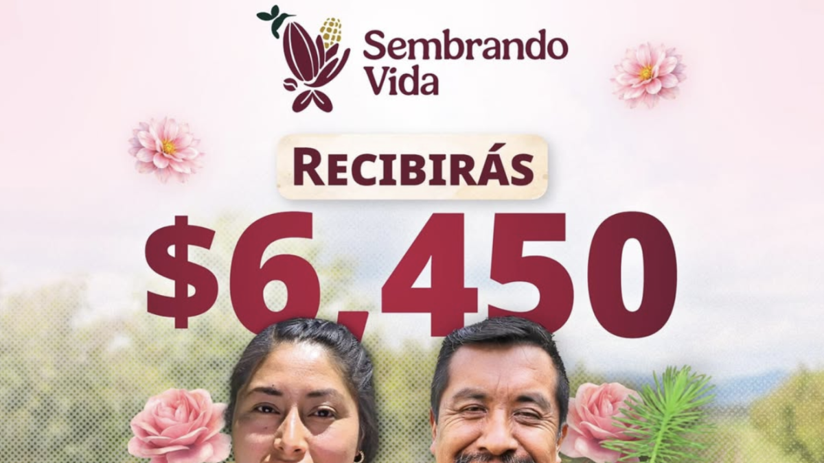 <![CDATA[Beneficiarios de Sembrando Vida reciben desde hoy pago de 6 mil 450 pesos]]>