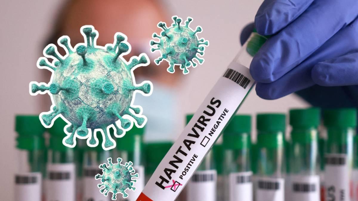 <![CDATA[Hantavirus: estos son los países con casos confirmados del brote]]>