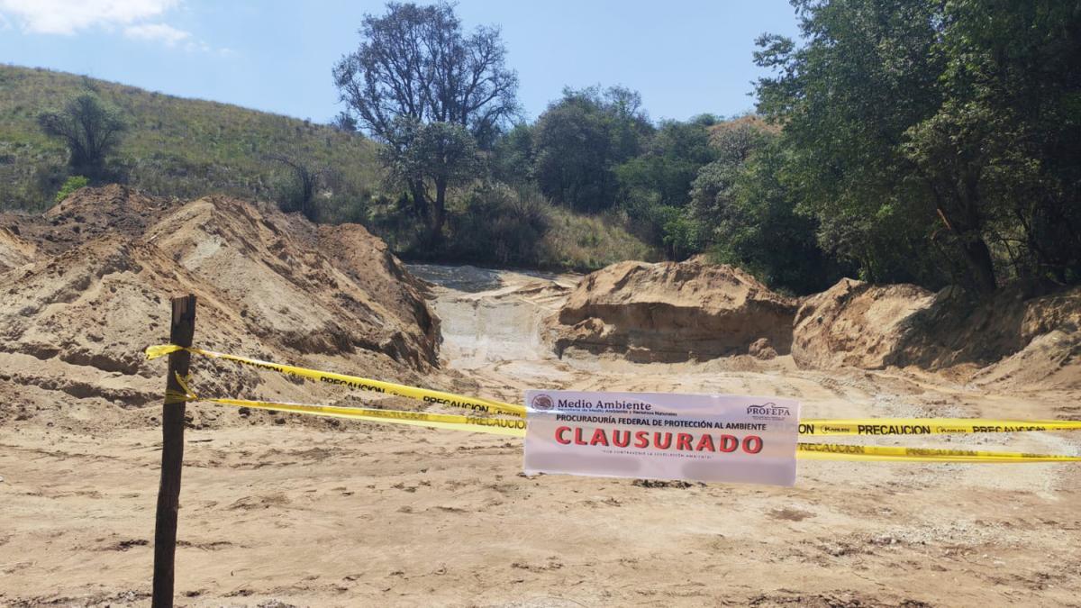 <![CDATA[Profepa clausura obras irregulares en áreas protegidas del Edomex]]>
