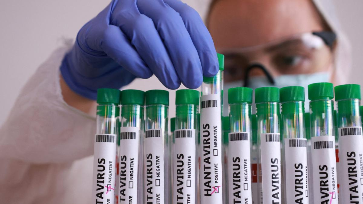 <![CDATA[Hantavirus: Argentina descarta cancelaciones de cruceros por contagios]]>