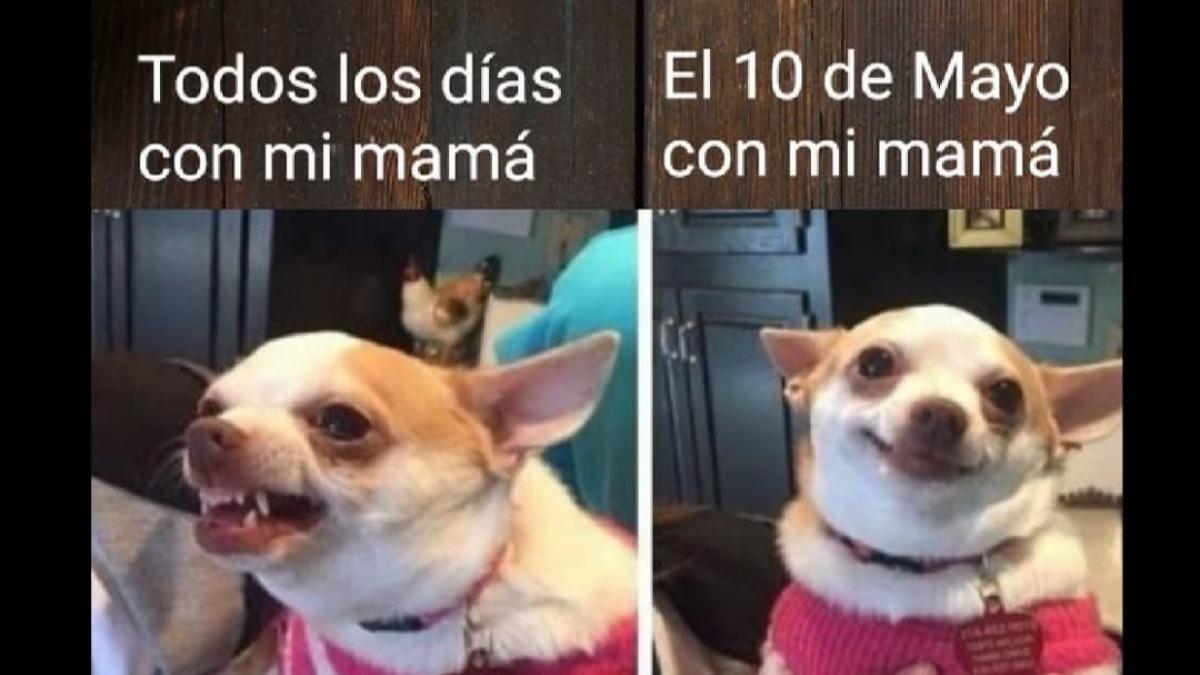 <![CDATA[Por que soy tu madre: los mejores memes para celebrar el Día de las Madres]]>