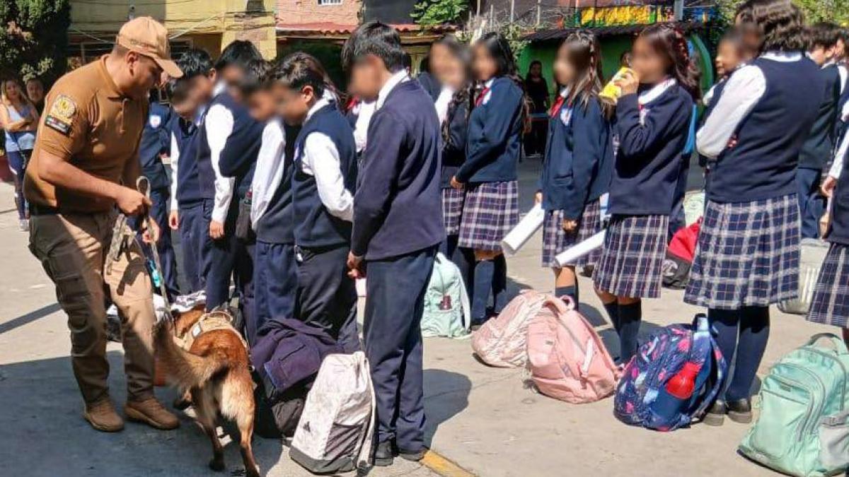 <![CDATA[Perros entrenados participan en programa Mochila de Paz en escuelas del Edomex]]>
