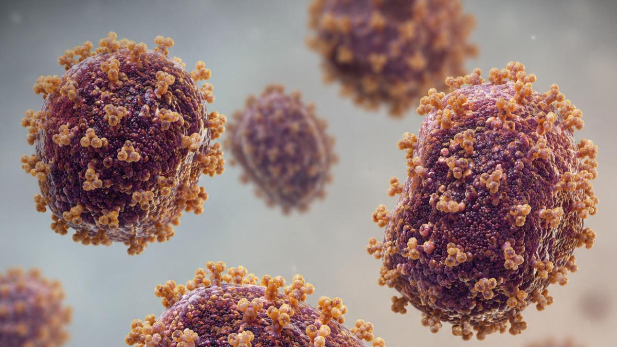 <![CDATA[¿Existe una vacuna contra el hantavirus?]]>