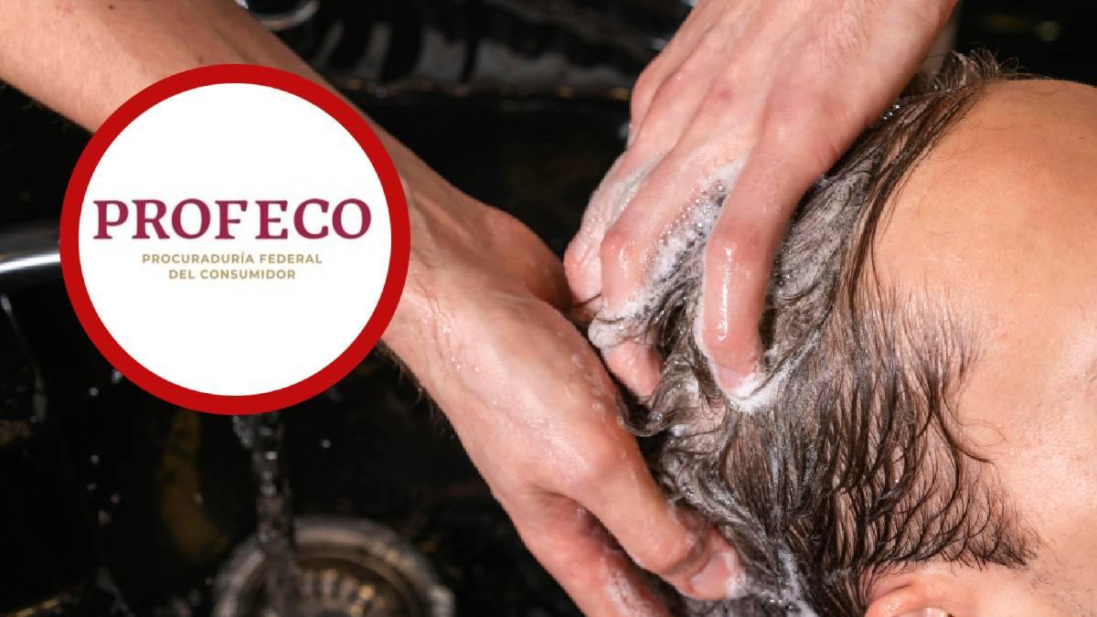 <![CDATA[Se acabó la discusión: este es el mejor shampoo para hombre según la Profeco]]>